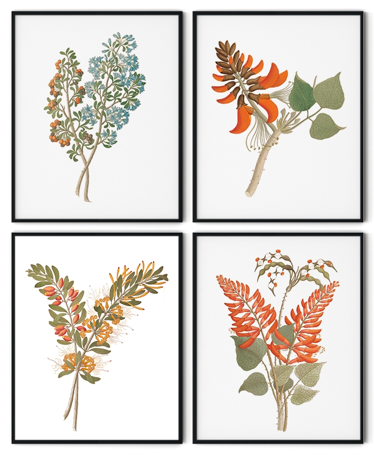 Wild flower set of 4
