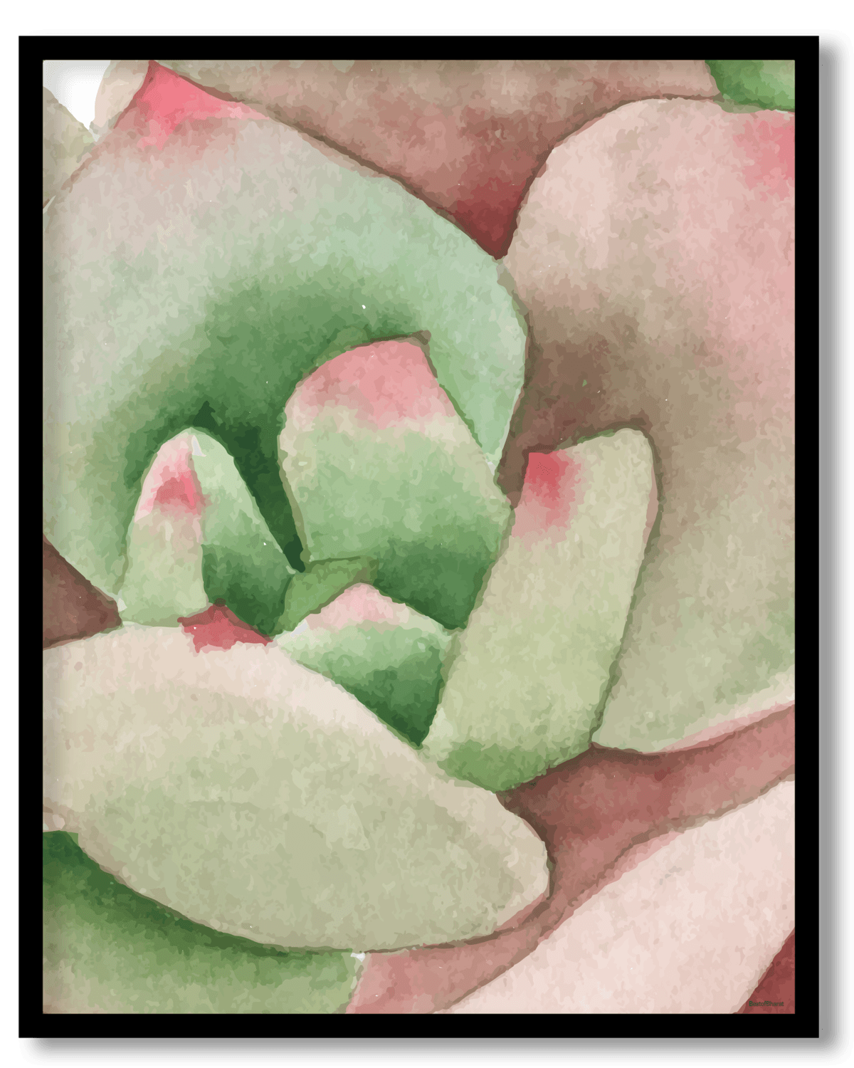 Succulent flower 1-1