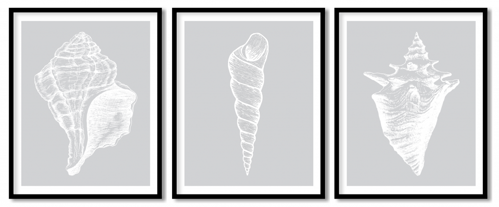 Set of 3 white seashell