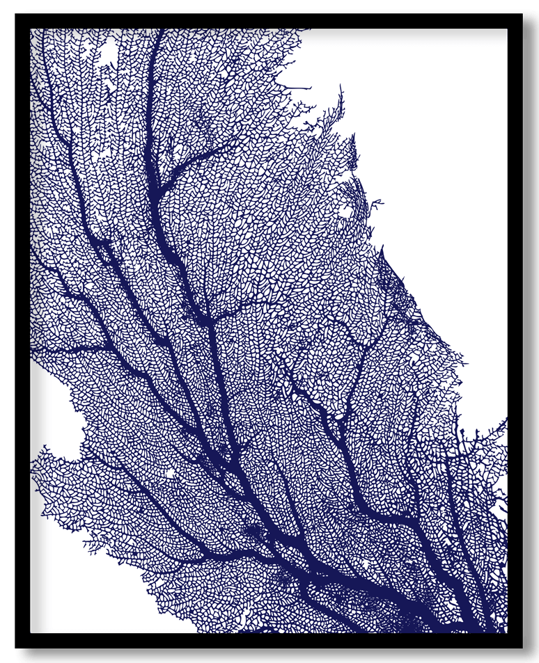 Blue enlarged coral sea fan #10