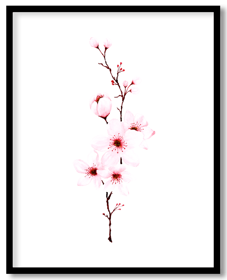 Cherry blossom #34