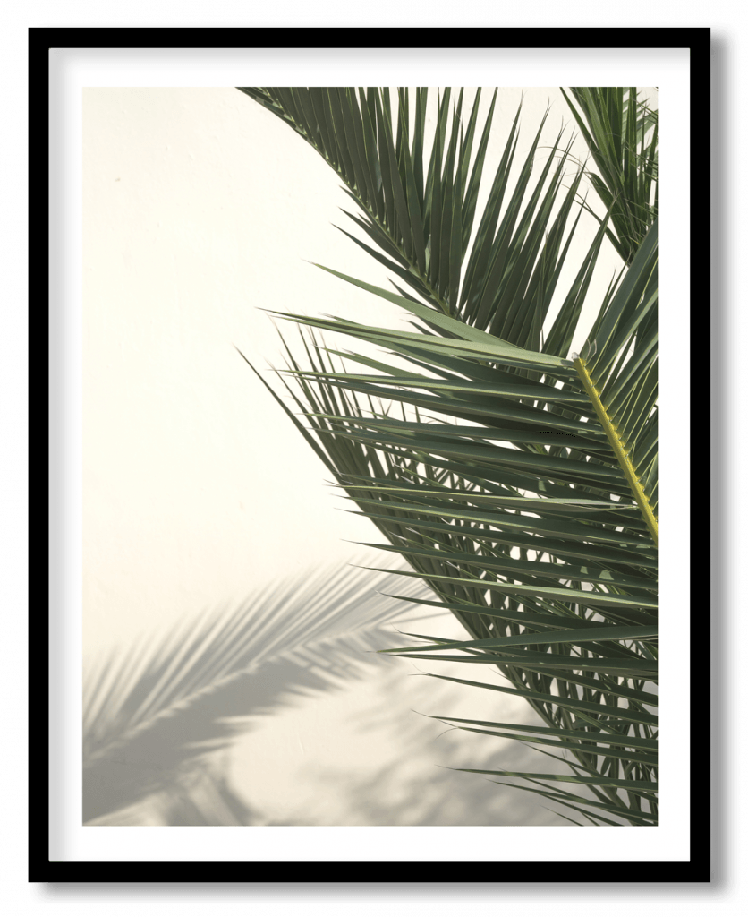 Palm leaf tree