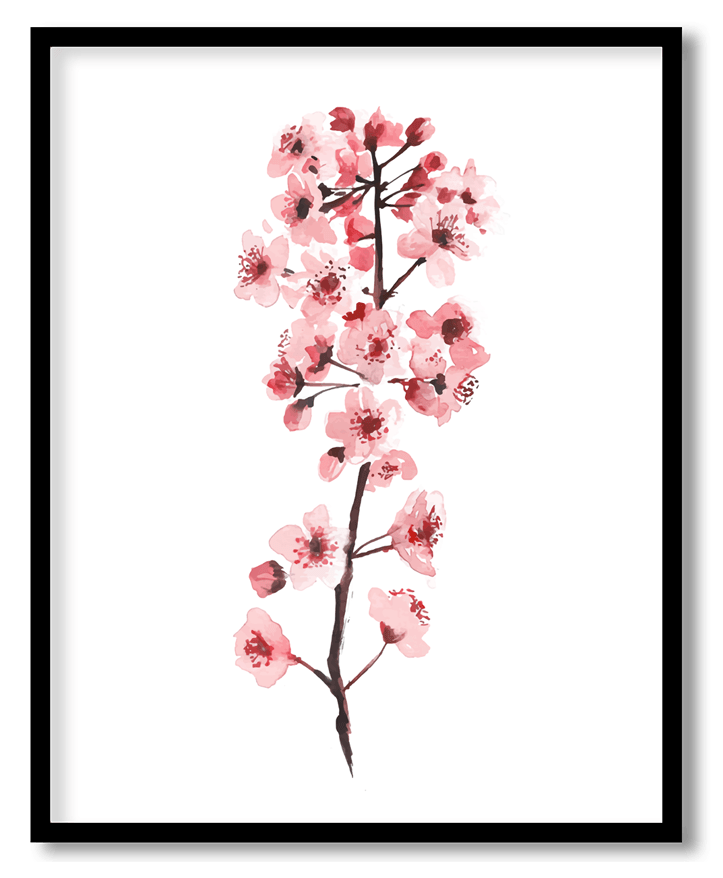 Cherry blossom #30