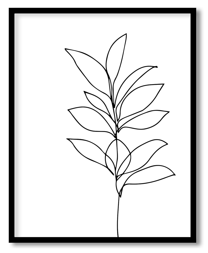 Line drawing leafy plant