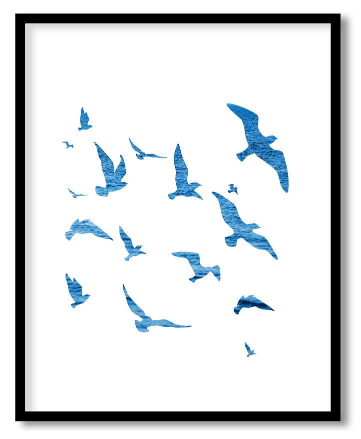 Blue flying birds