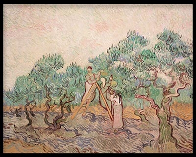 The Olive Orchard by Vincent Van Gogh (1889)