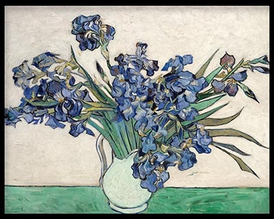 Irises by Vincent Van Gogh (1890)