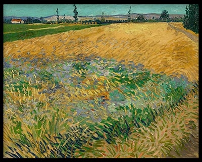 Wheatfield by Vincent Van Gogh (1888)