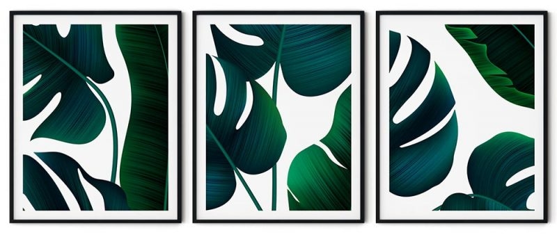 Set of 3 dark green monstera leaves