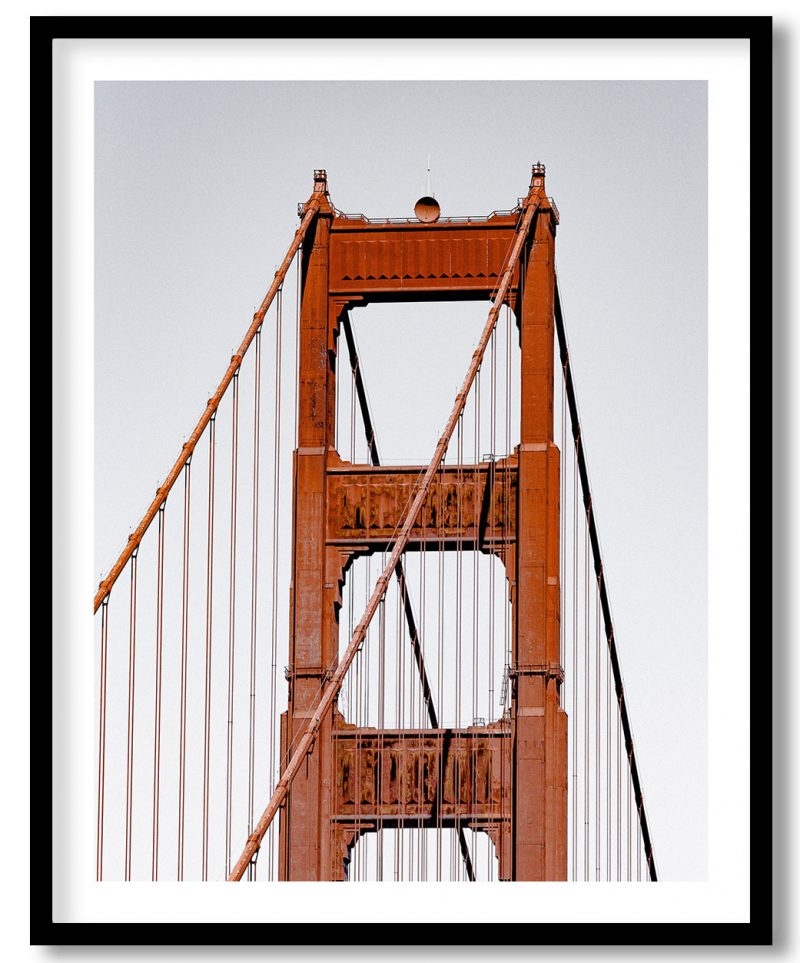 Beautiful Lotus flower in pond