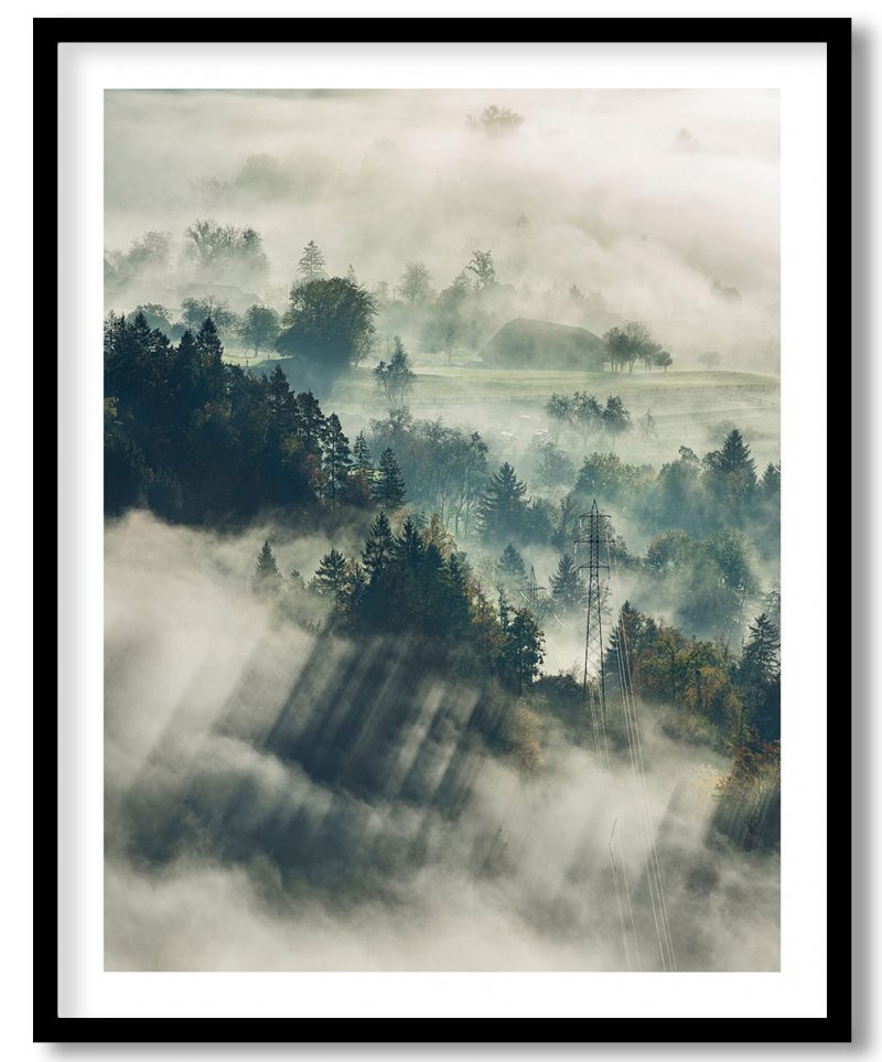 Foggy landscape