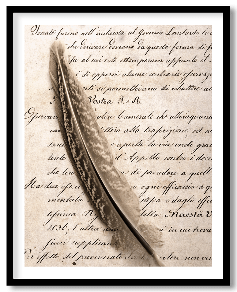 Vintage feather