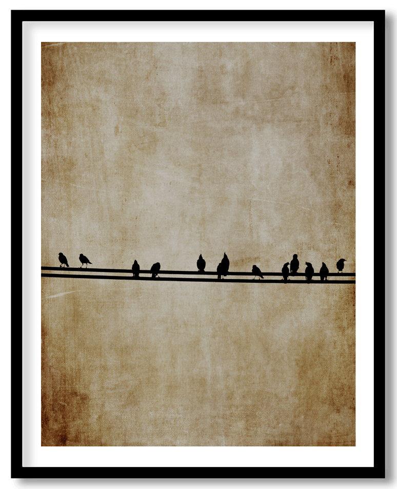 Vinatge bird on wire