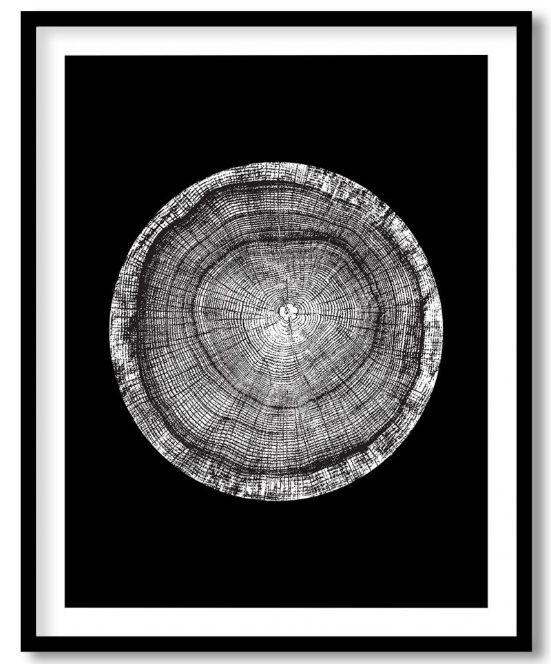 White rough aged wood textured tree rings #47