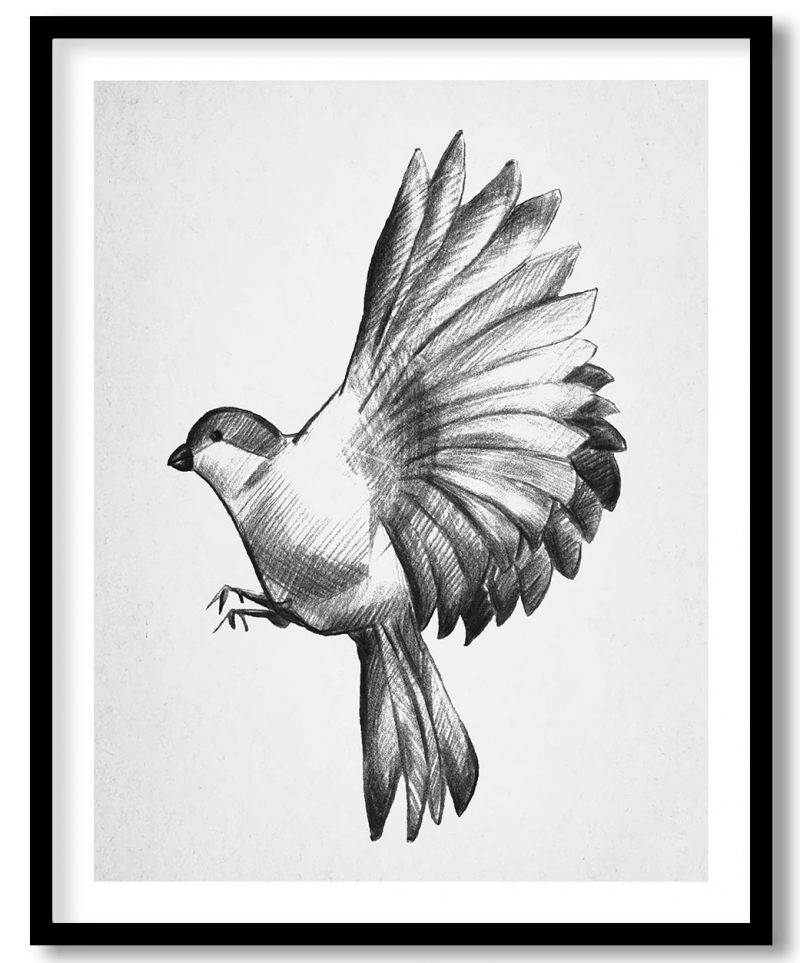 Ravishing bird black sketch #52