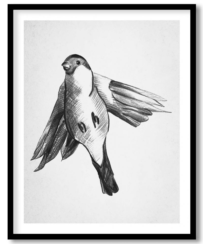 Ravishing bird black sketch #53