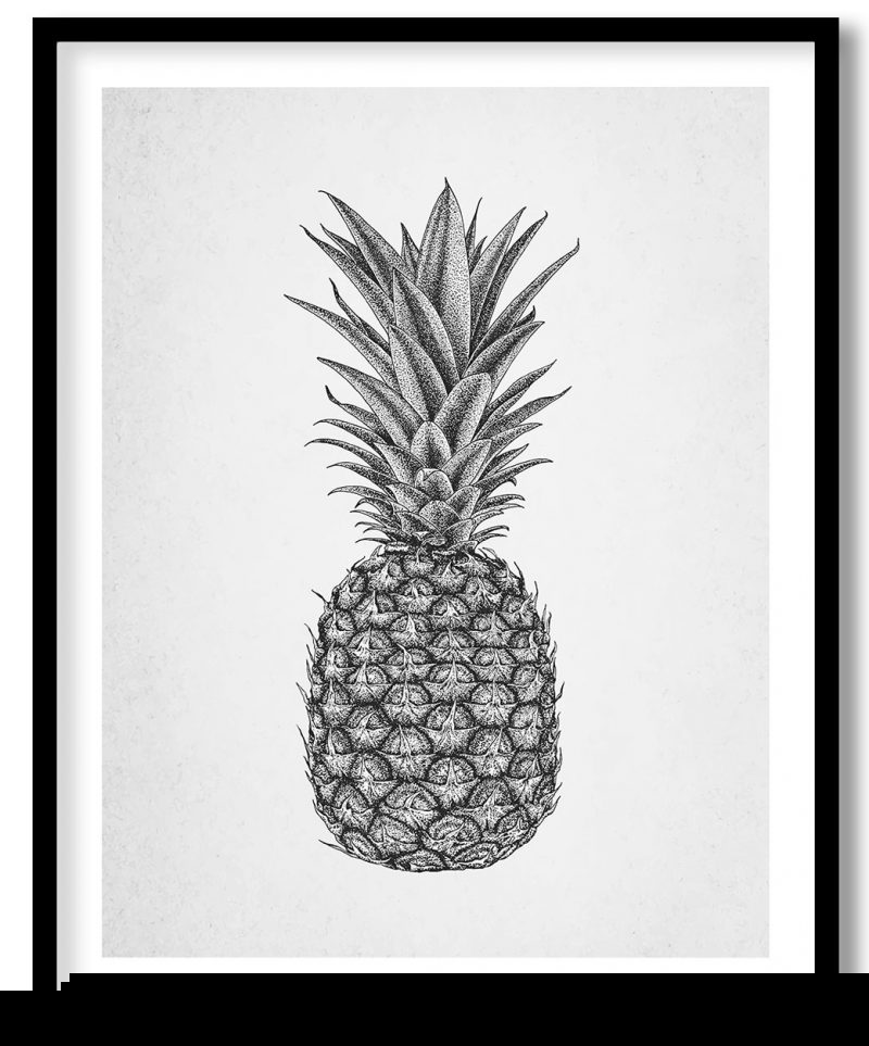 Black pineapple sketch