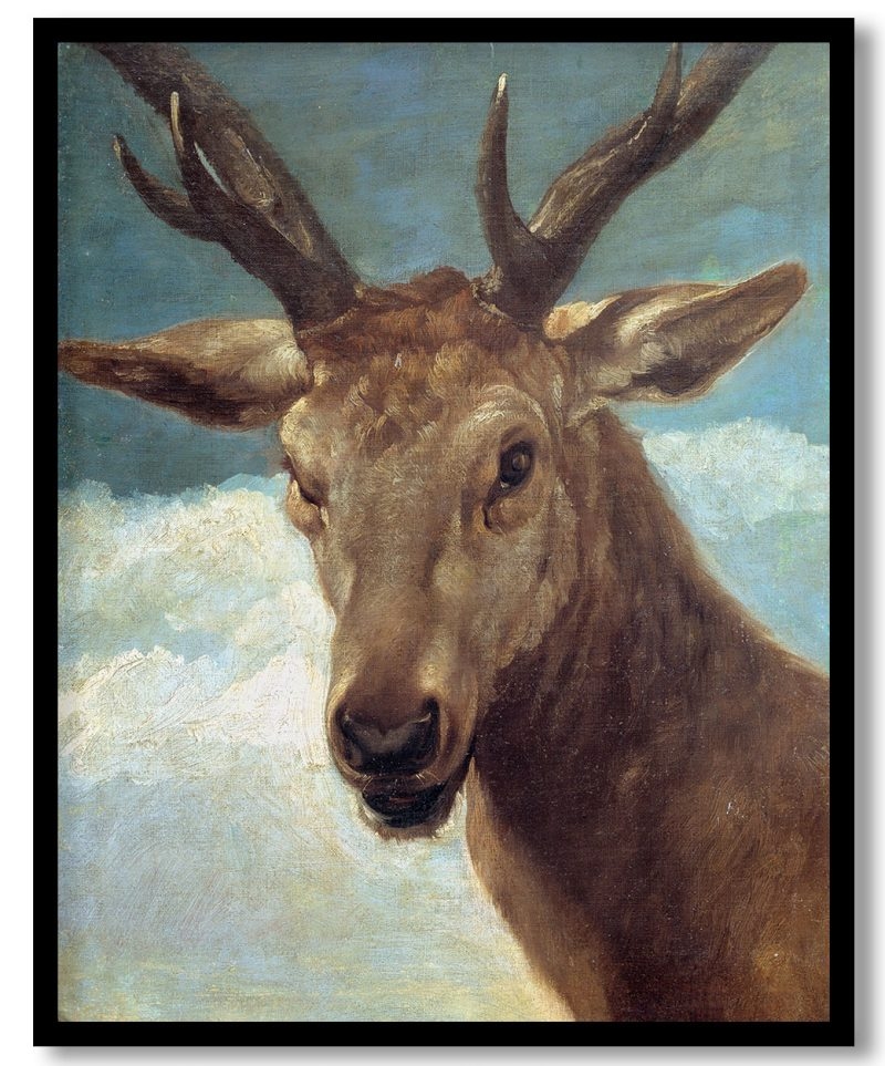 Deer head by Diego Velazquez (1626 28)