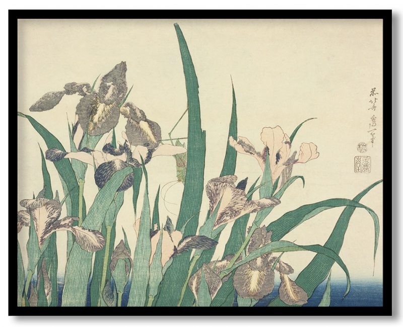 Iris and grasshopper by Katsushika Hokusai (1833-34)