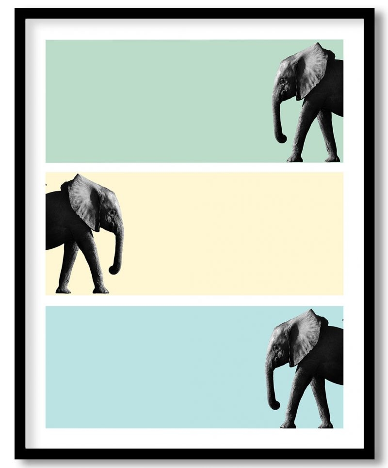 Elephant walk