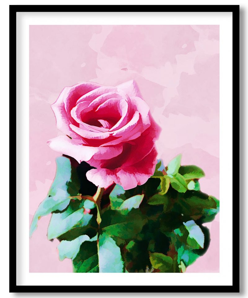 Watercolor rose painting