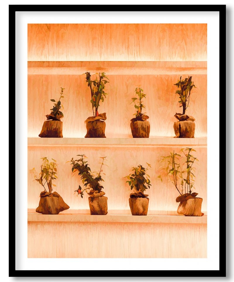 Abstract plant pots botanical