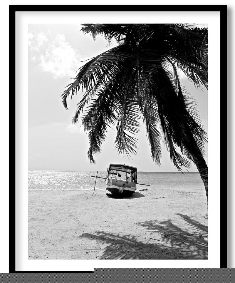 Black and white palm boat beach