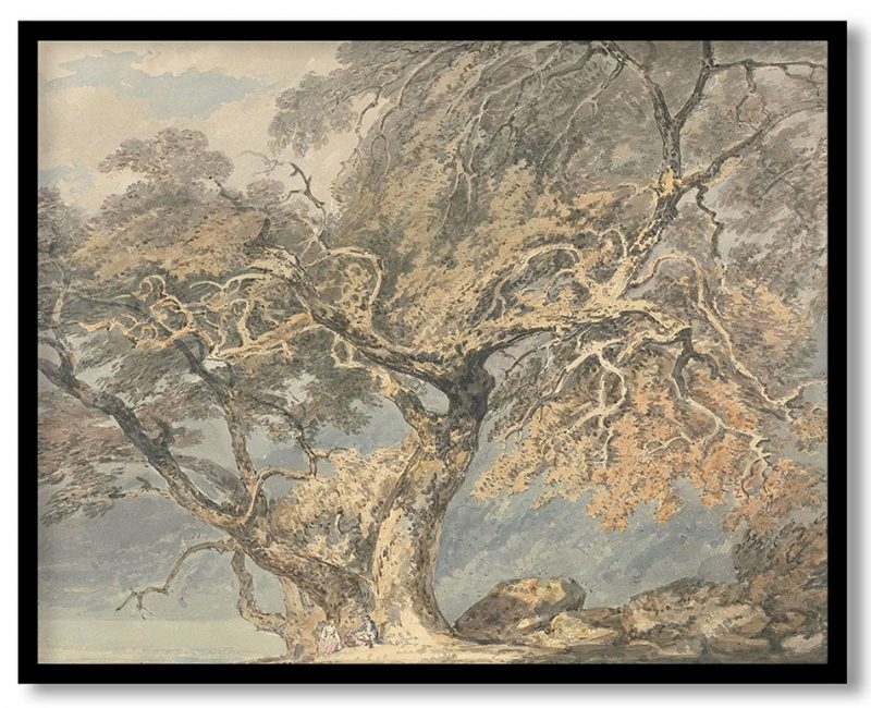 A great tree by J.M.W. Turner (1796)