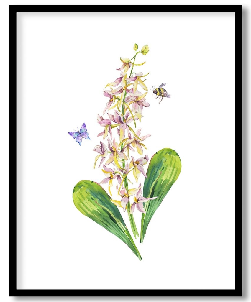Watercolor exquisite wild flowers