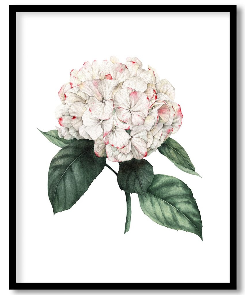 White Cluster of Flowers