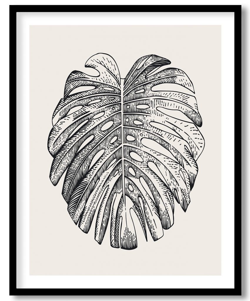 Vintage exoctic black and white monstera leaf