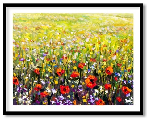 Gorgeous vast meadows