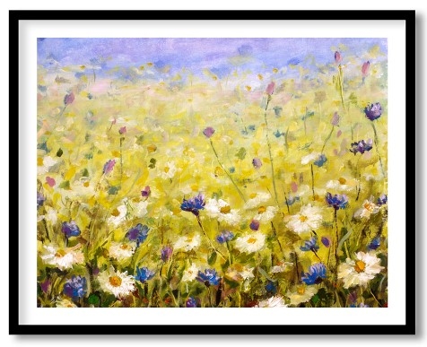 Outstanding white daisies