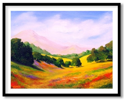 Autumn light on irish fields