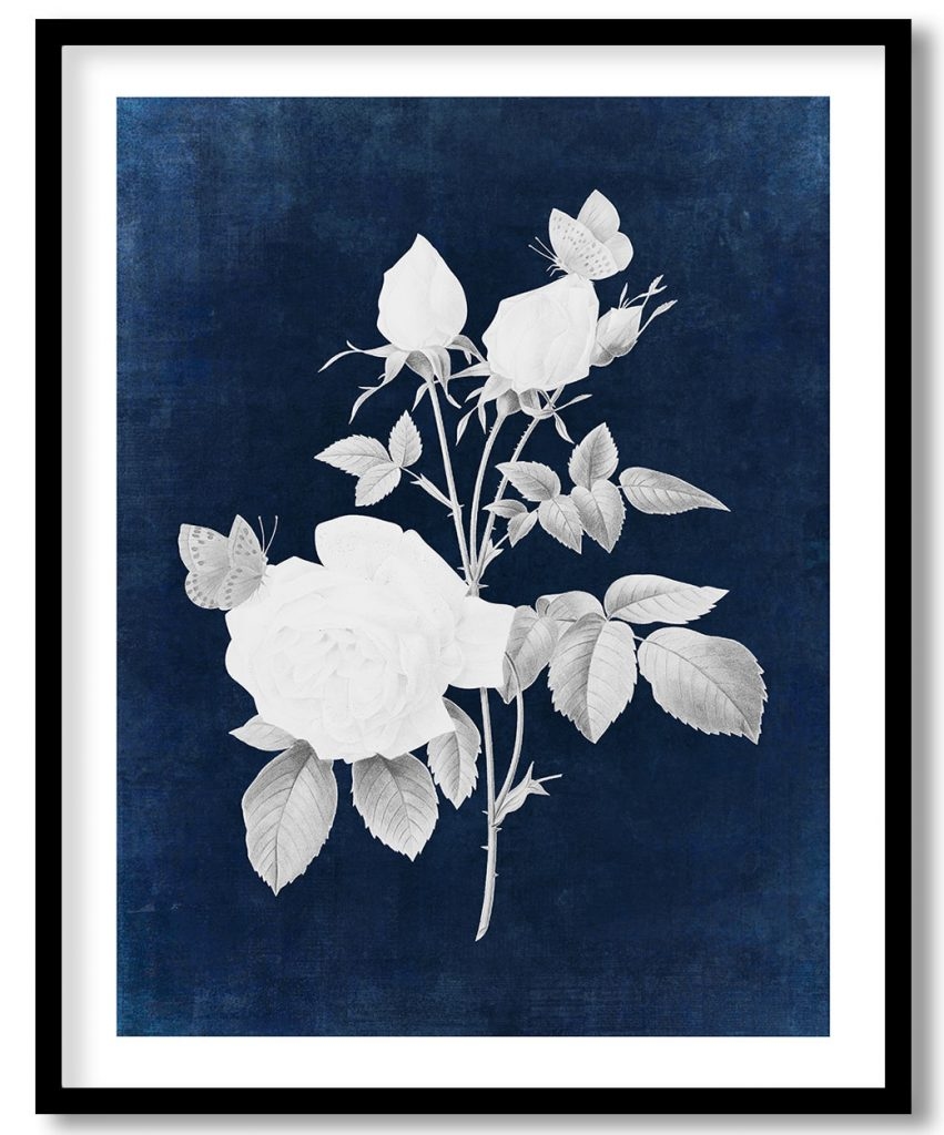 White rose flower vintage - Indigo Pressed