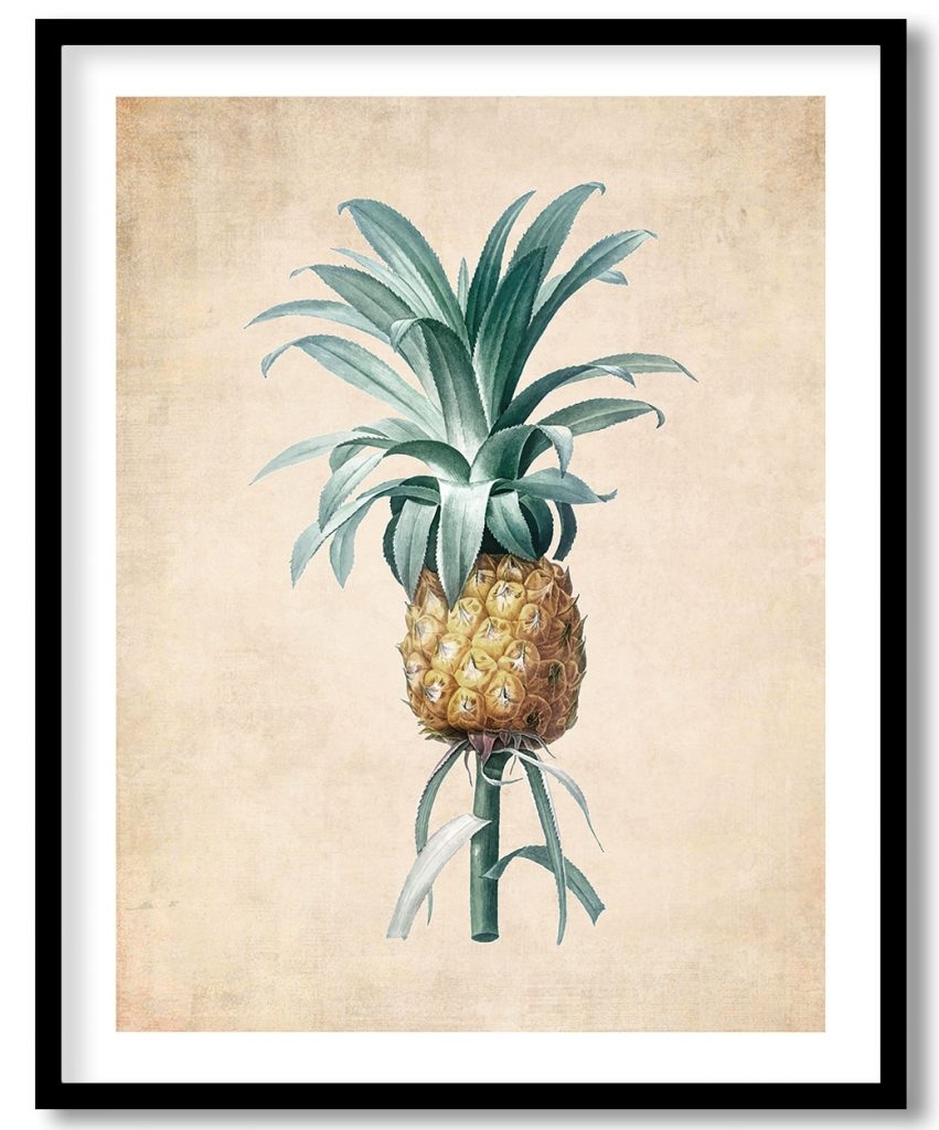 Pineapple - Pressed Vintage Botanical