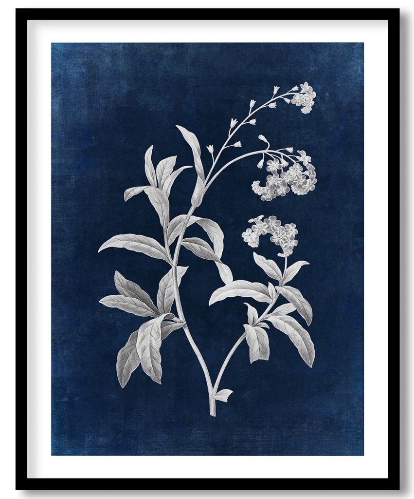 Forget me not flower - Indigo Pressed