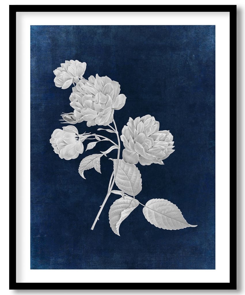Floral vintage botanical - Indigo Pressed