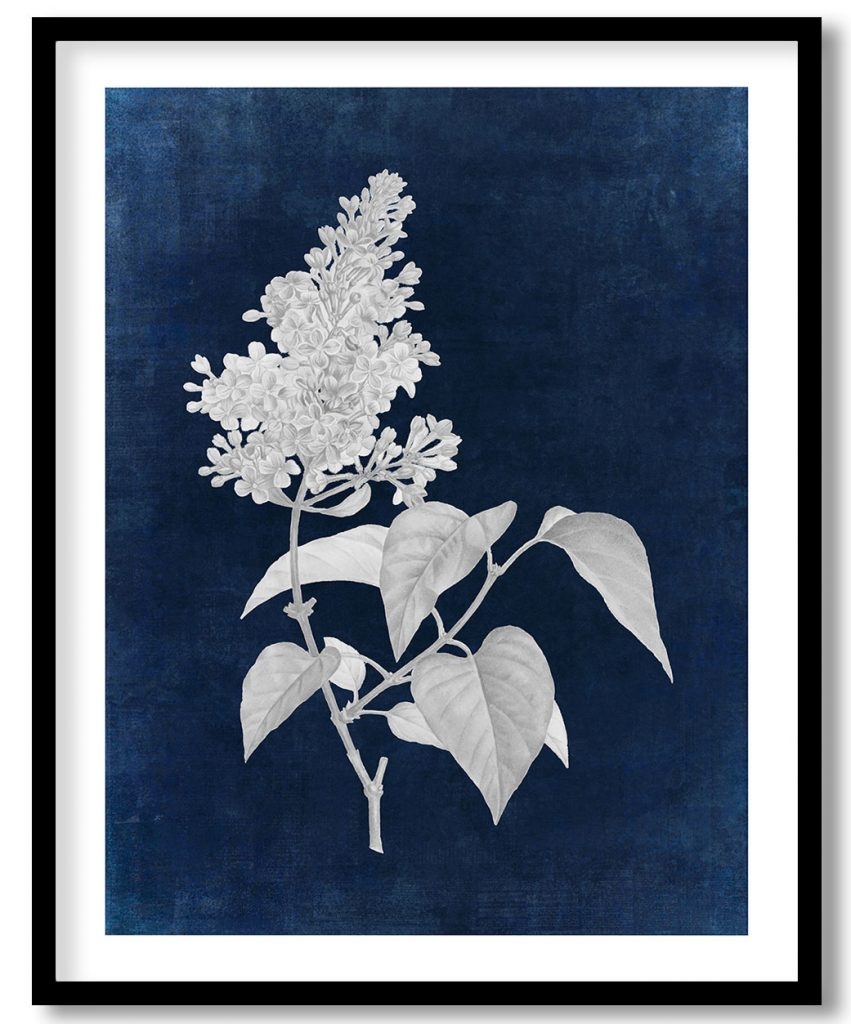 Vintage pink lilac - Indigo Pressed