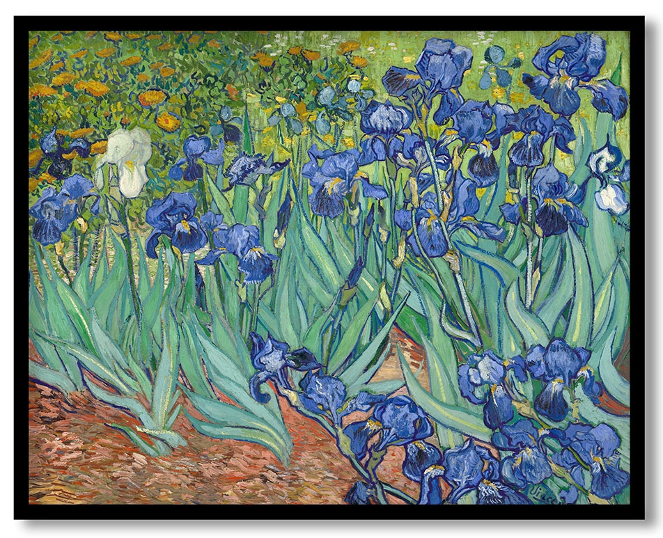 Irises by Vincent van gogh