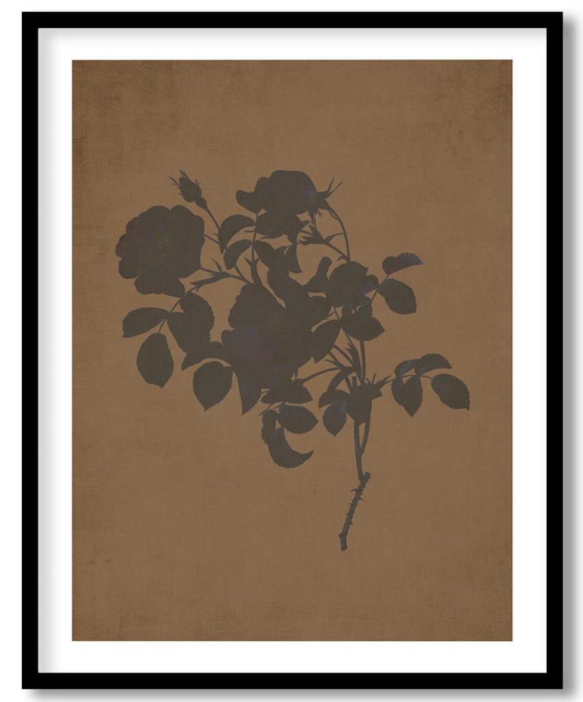 Rose of Love - Walnut Pressed