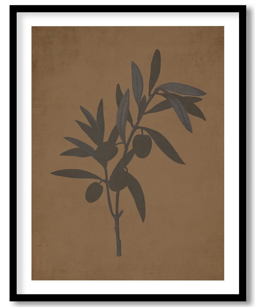 Fruit red berry botanical - Walnut Pressed