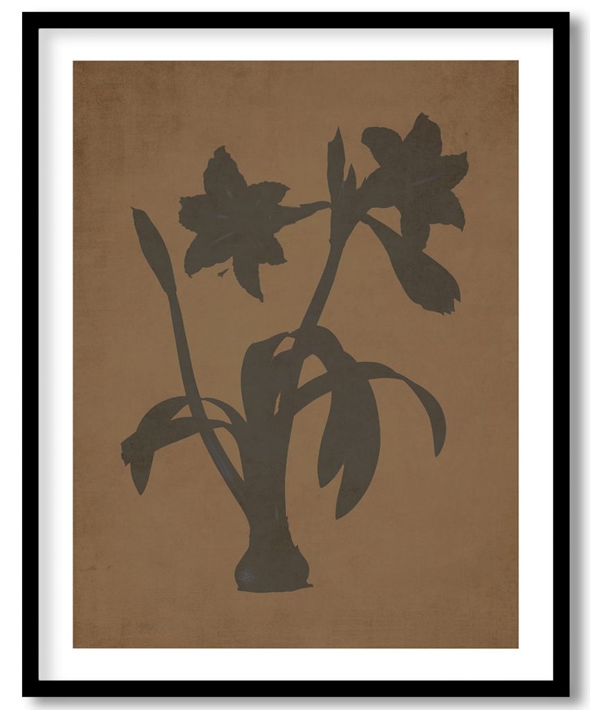 Minneapolis botanical - Walnut Pressed