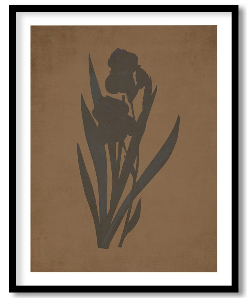 Minneapolis flower - Walnut Pressed