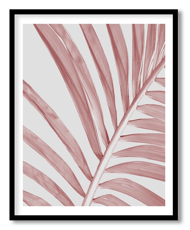 Abstract pink palm leaf foliage