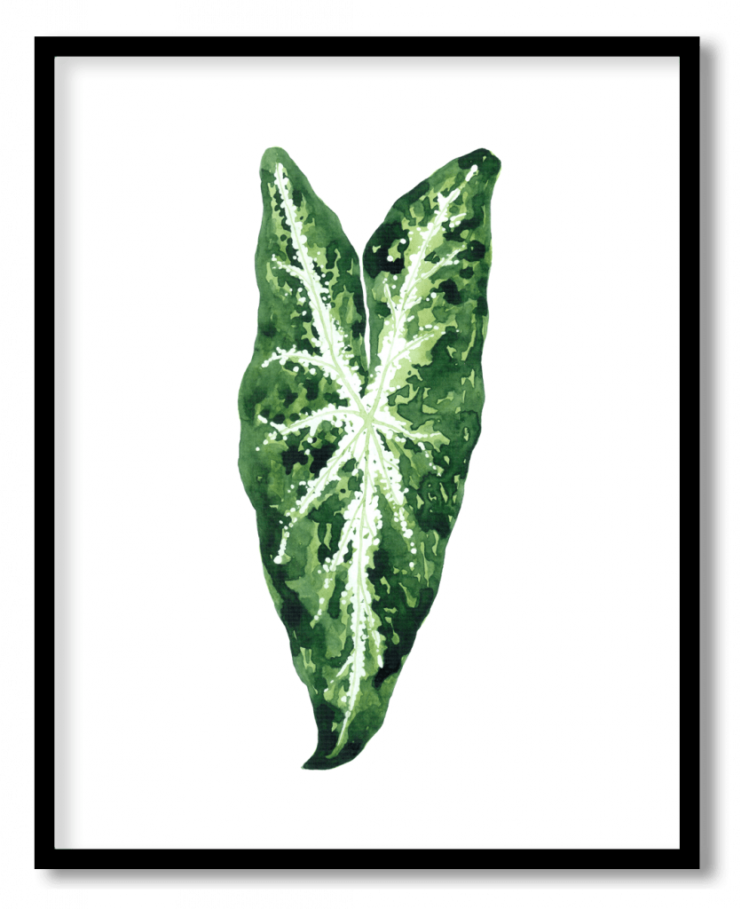 Tropical jungle leaf #10