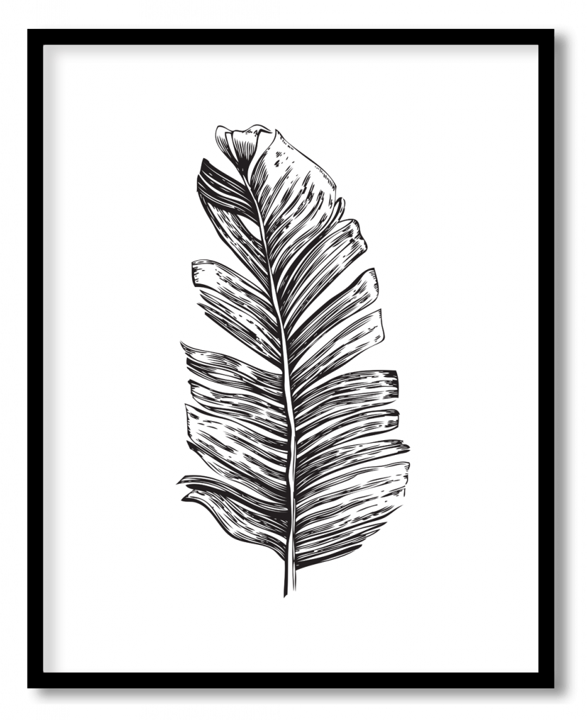 Black line drawing banana leaf #15