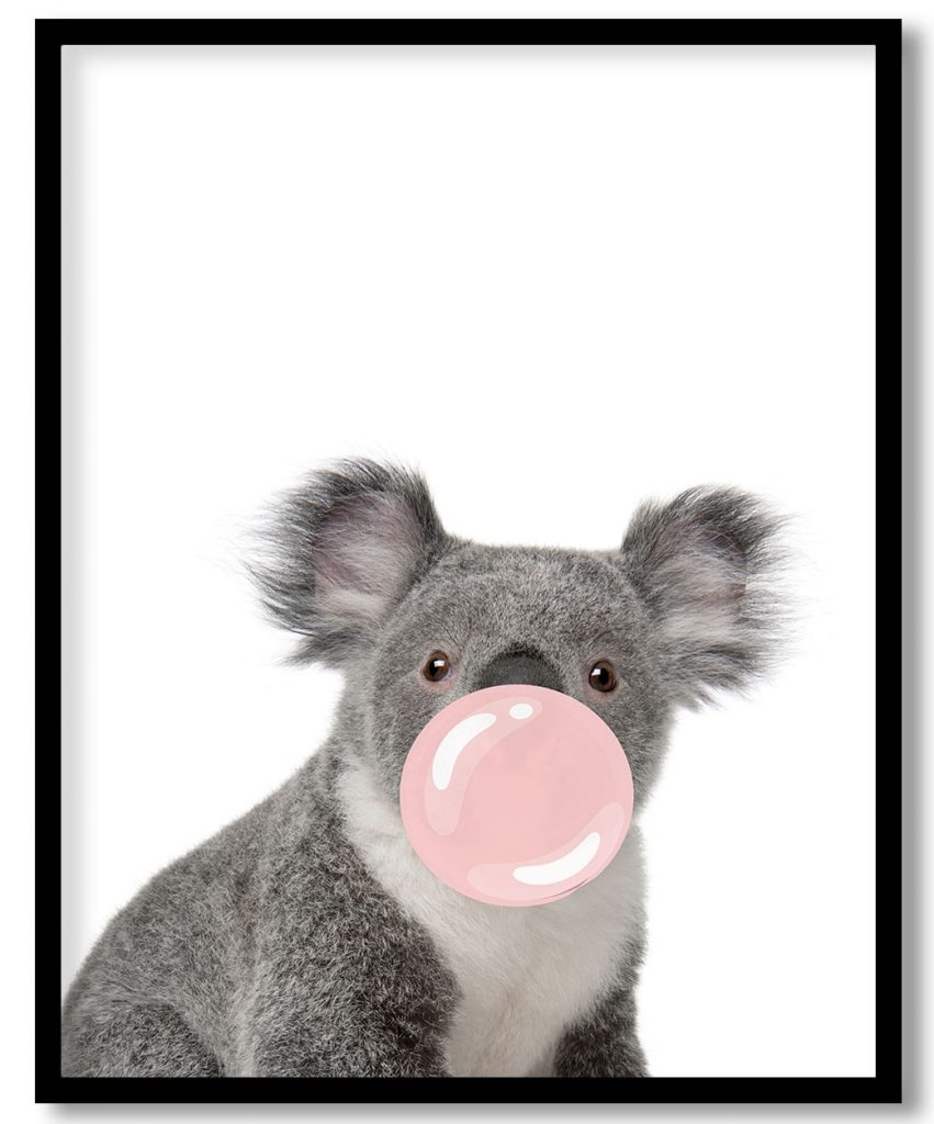 koala with gum