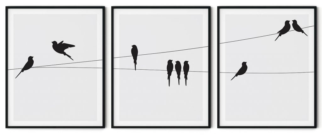 Set of 3 bird silhouette