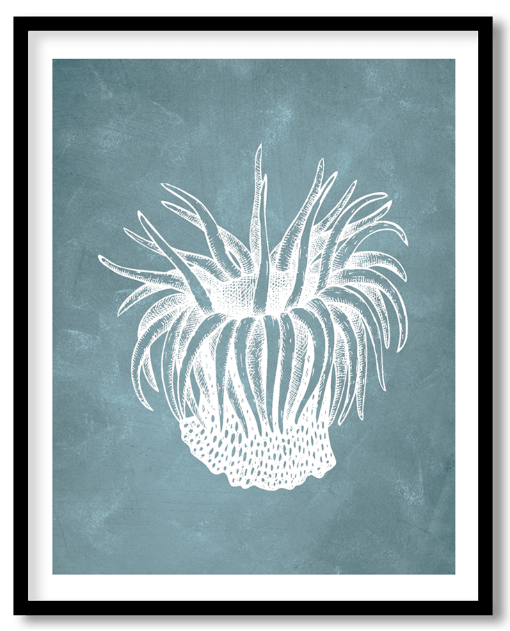 Blue hand drawn seaweed #12